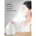 Nano Mist Spray Mini Spa Professional Face Humidifier